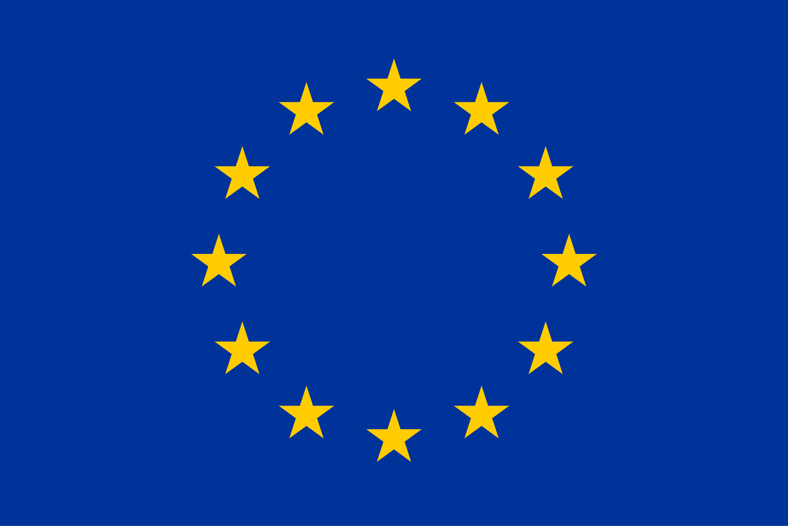 Euro Flag